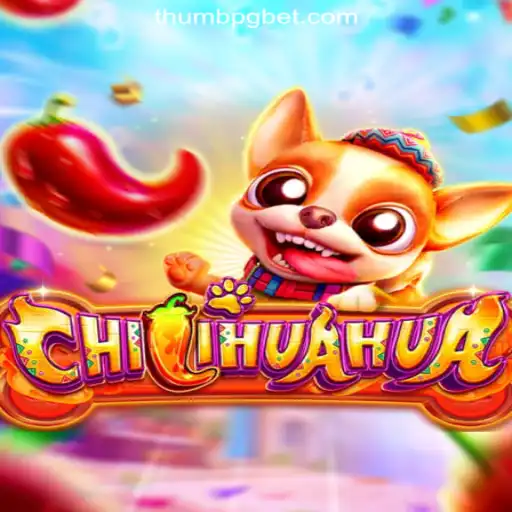 Exploring the World of CHILIHUAHUA: ThumbPG.COM Oficial Slots Brasil #1